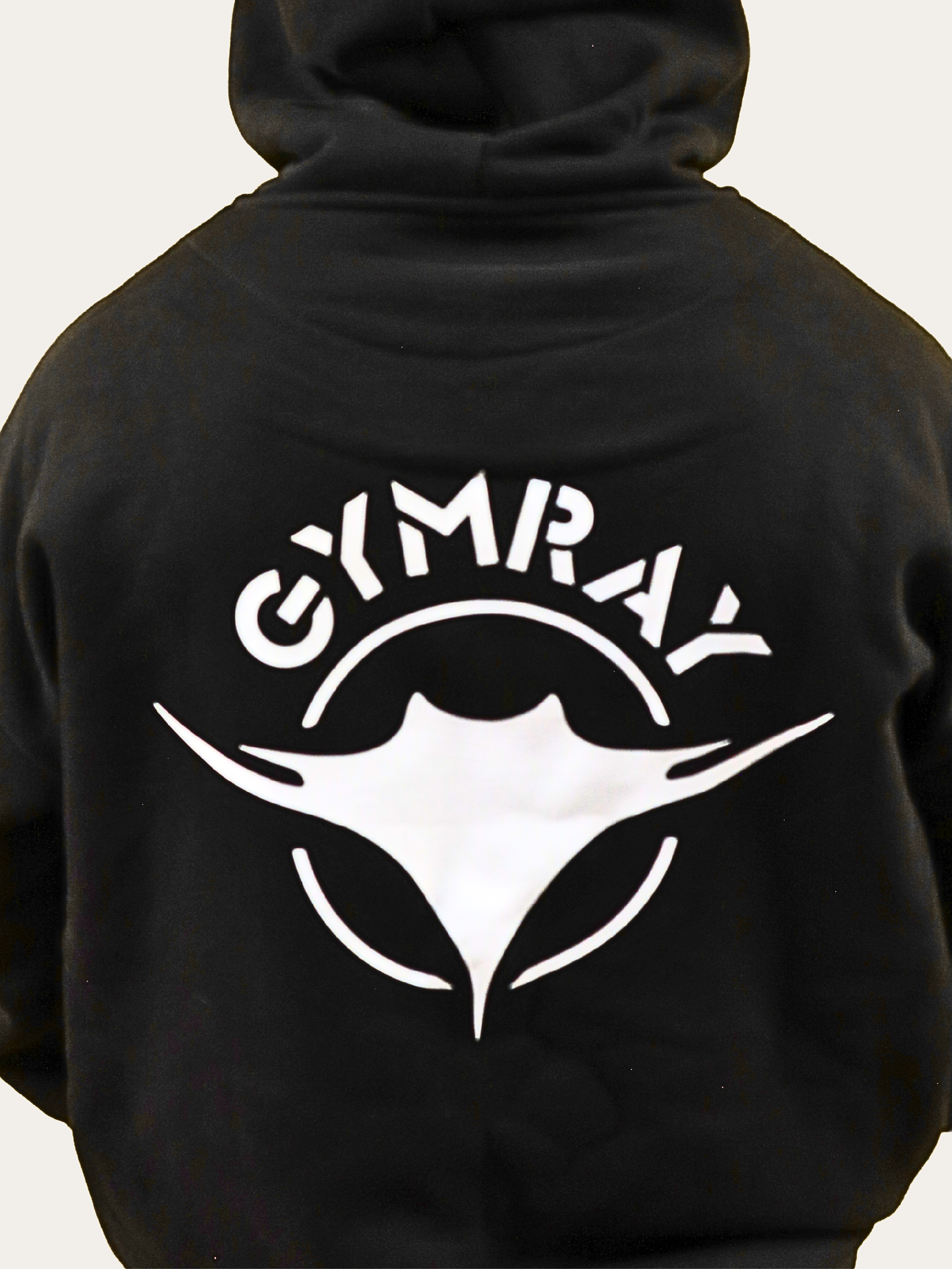 Image of Heavy Hoodie