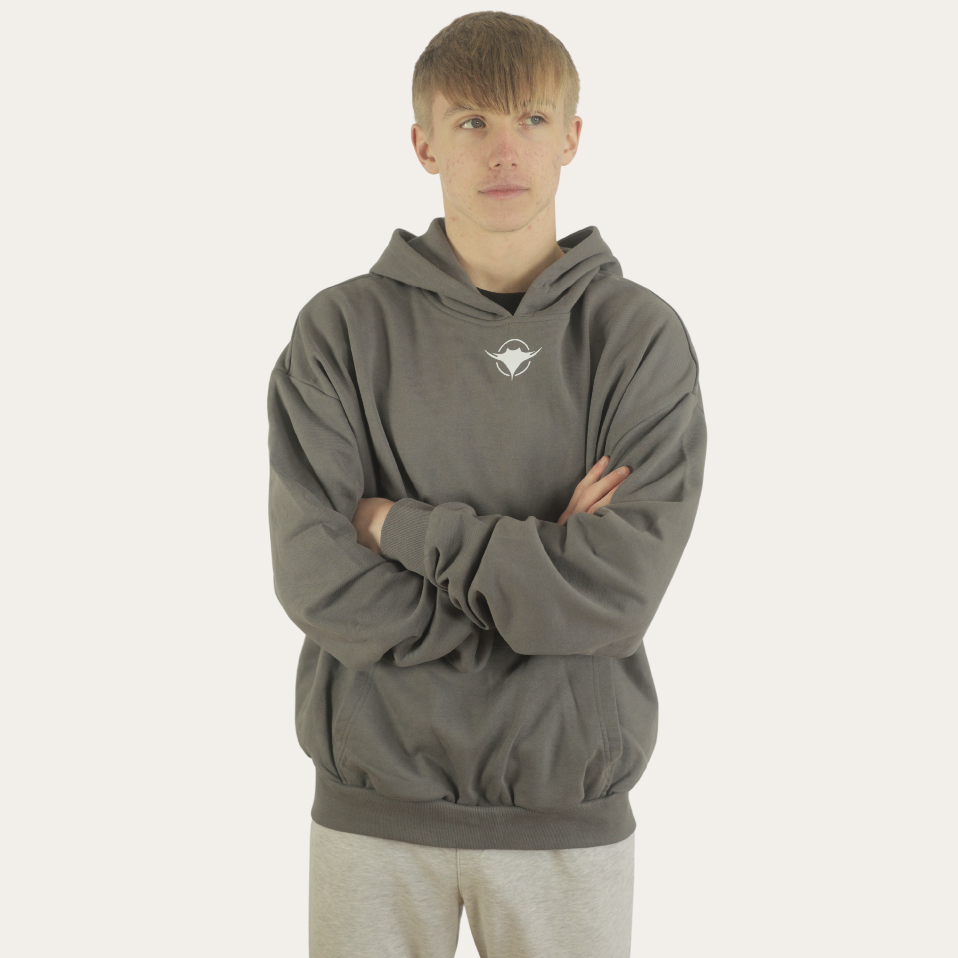 Image of Heavy Hoodie
