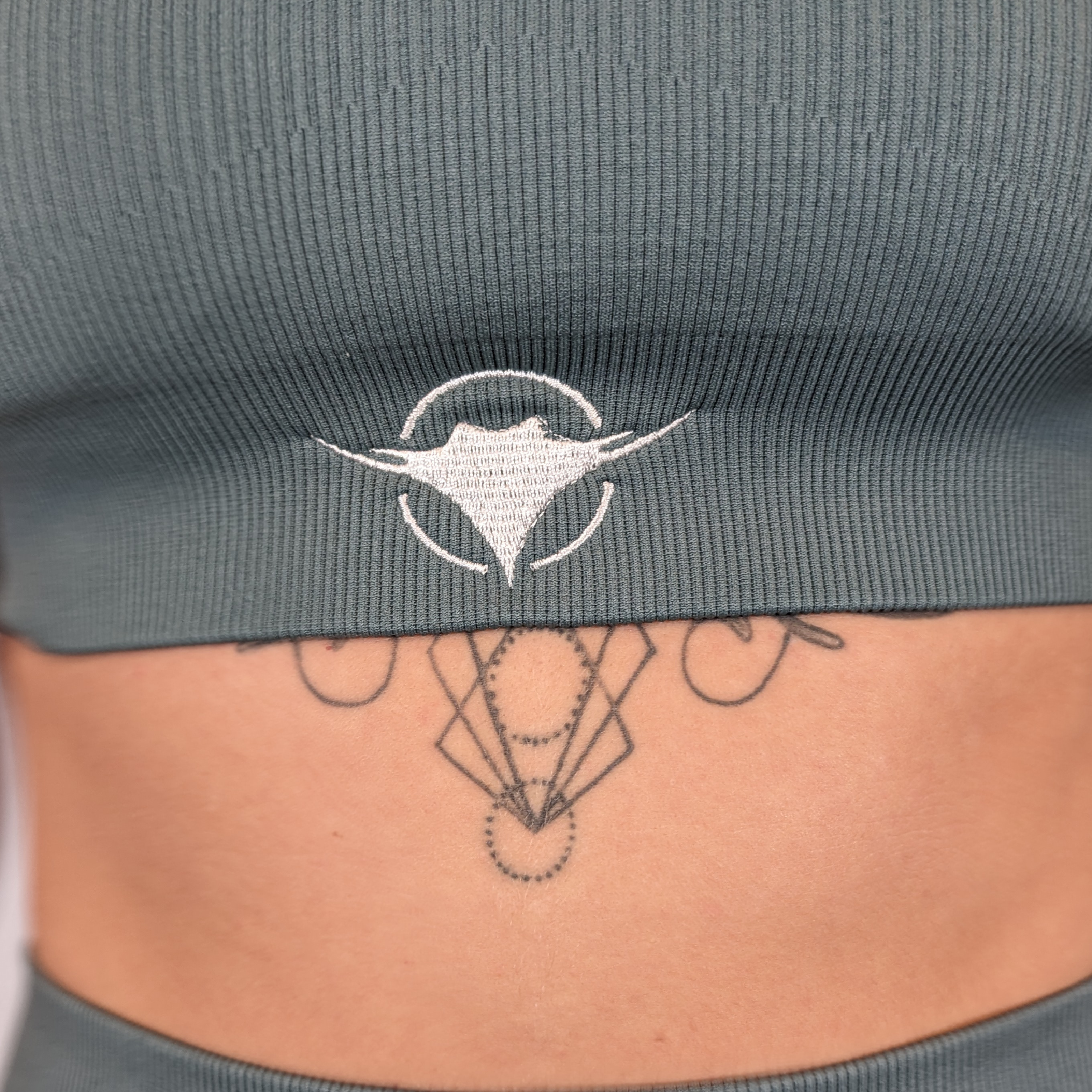 Image of Ribbed Sports Bra